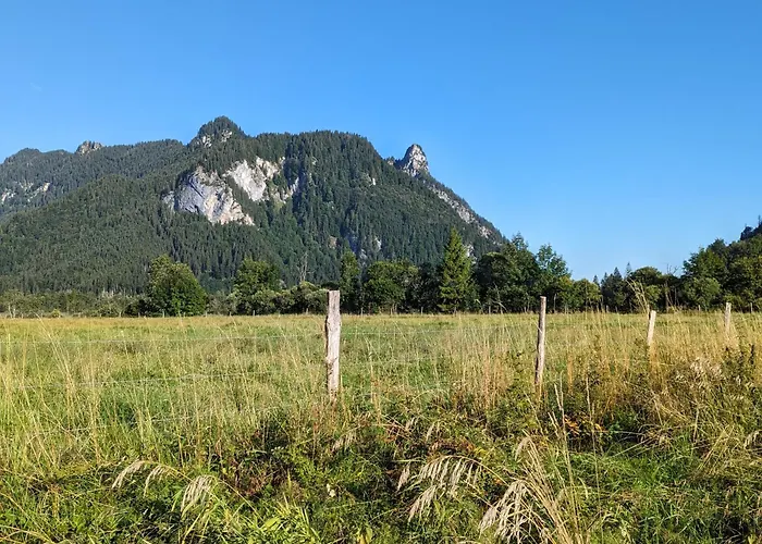 Zur Alten Schmiede